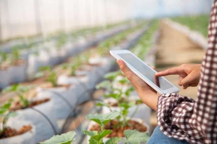 Agronomo che consulta dati colturali su tablet all'interno di una serra con piante ortofrutticole — software gestionale Odoo per aziende agricole con coltivazioni in serra.